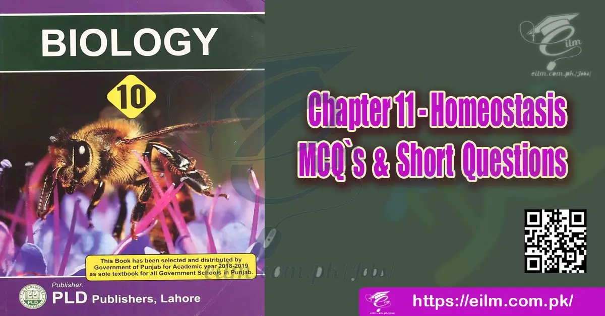Chapter-11-Homeostasis-MCQ-and-Short-Questions Punjab