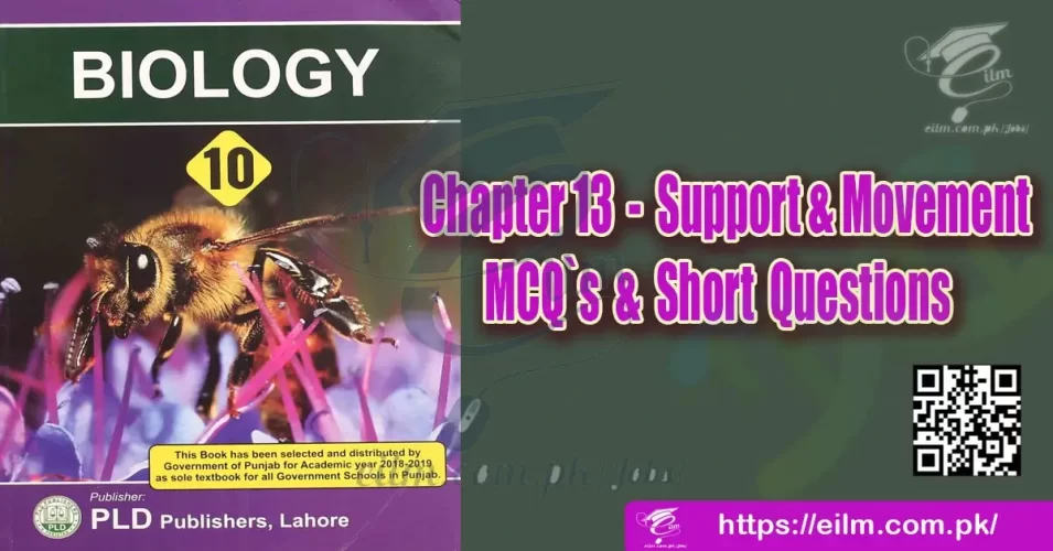 Support and Movement Short Questions Free Notes Punjab