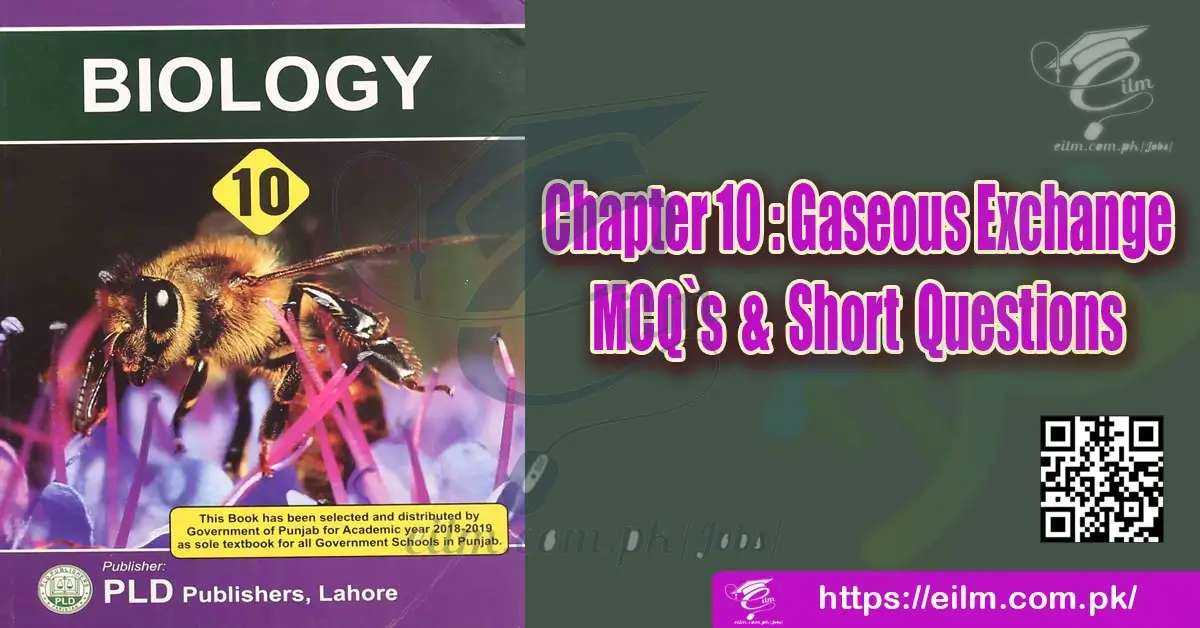 chap-10-Gaseous-Exhange-MCQ-and-Short-Questions