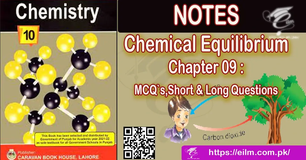 Chemistry Chemical Equilibrium Notes
