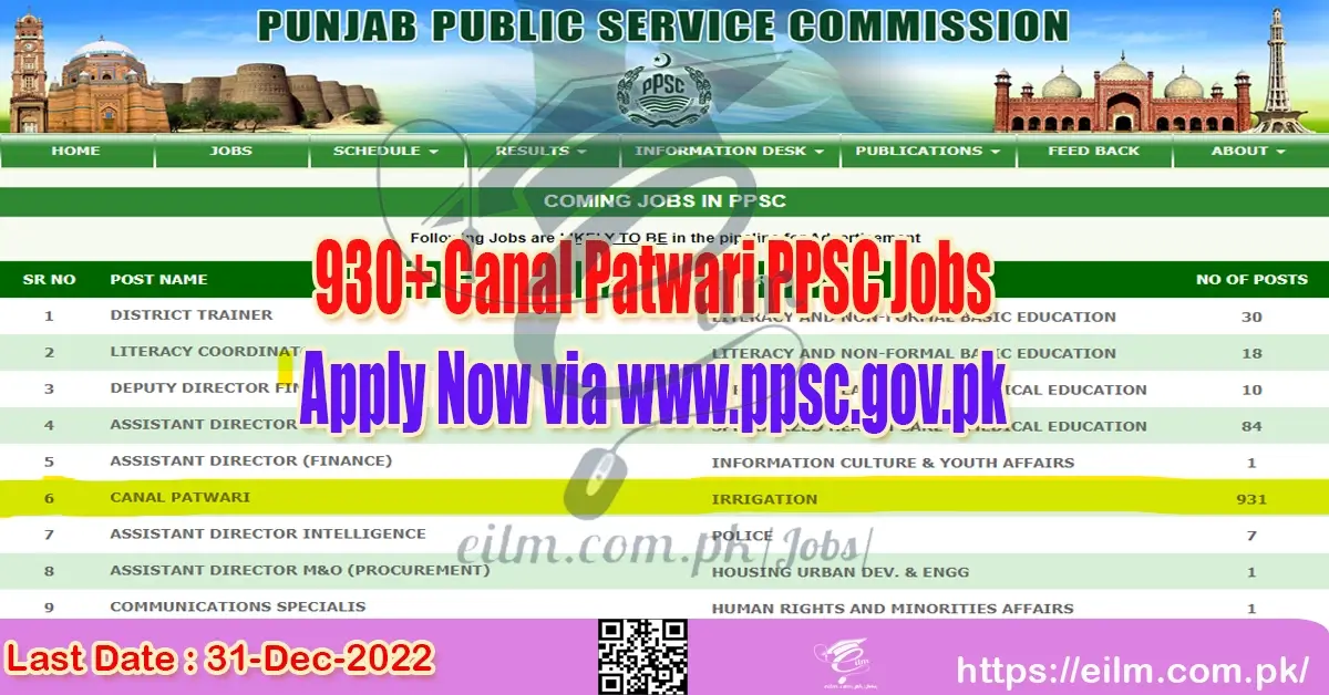 Canal Patwari PPSC Jobs