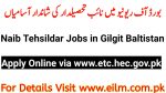 Apply Online via https://etc.hec.gov.pk for GB Naib Tehsildar Jobs 2023