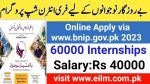 www.bnip.gov.pk online apply 2023-Bnip Internship Program