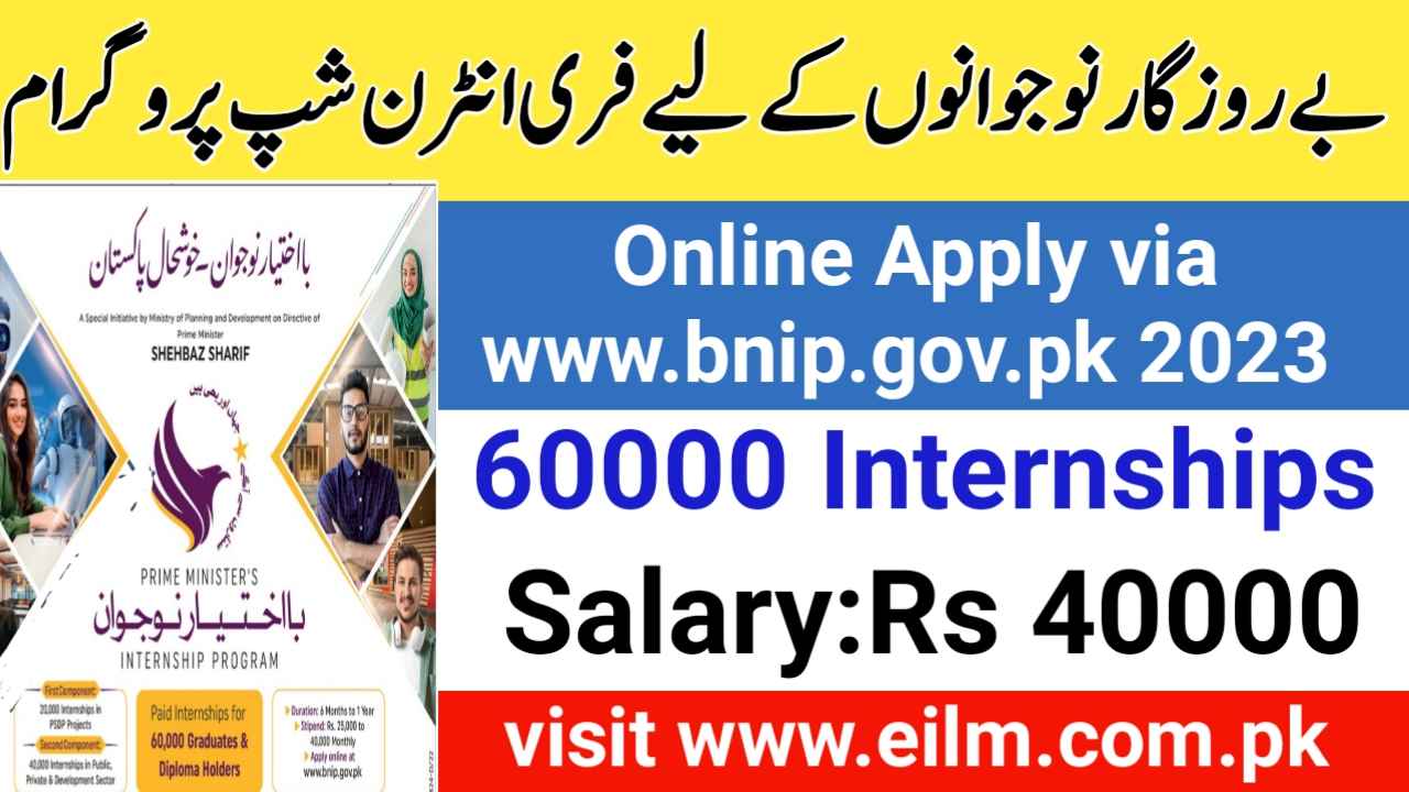 online apply www.bnip.gov.pk 2023