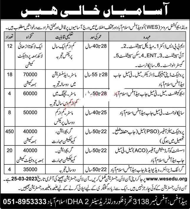 world educational services ngo jobs 2023