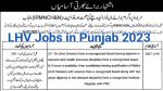 LHV Jobs In Punjab 2023 | www.pshealth.punjab.gov.pk/  apply online