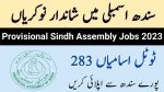 provincial sindh assembly jobs 2023|Latest jobs