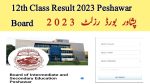 BISE Peshawar 12th Result 2023| BISE Peshawar 2023
