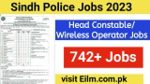 Sindh Police Head Constable Jobs 2023|Apply Online www.apply.sts.net.pk