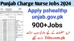 Punjab Charge Nurse  Jobs 2024 Online Apply Www.Adhoc-Shcme.Pshealthpunjab.Gov.Pk