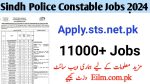Sindh Police Constable Jobs 2024